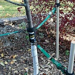 Small-Medium Eye Loop Style Jeri-Rigg, Pack Of 2 -Wilson Bros Gardens Shop jr smel 1