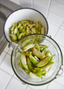 June Plum (Spondias Dulcis) -Wilson Bros Gardens Shop juneplymsowexotic 3