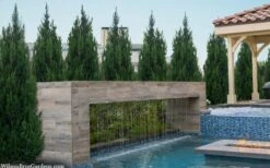 Spartan Juniper - 1 Gallon Pot -Wilson Bros Gardens Shop juniperus chinensis spartan columnar juniper 40 1