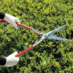 ARS Topiary-Shrub Hedge Shears -Wilson Bros Gardens Shop kr1000 5 1