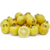 Guava, Lemon (Psidium Littorale)