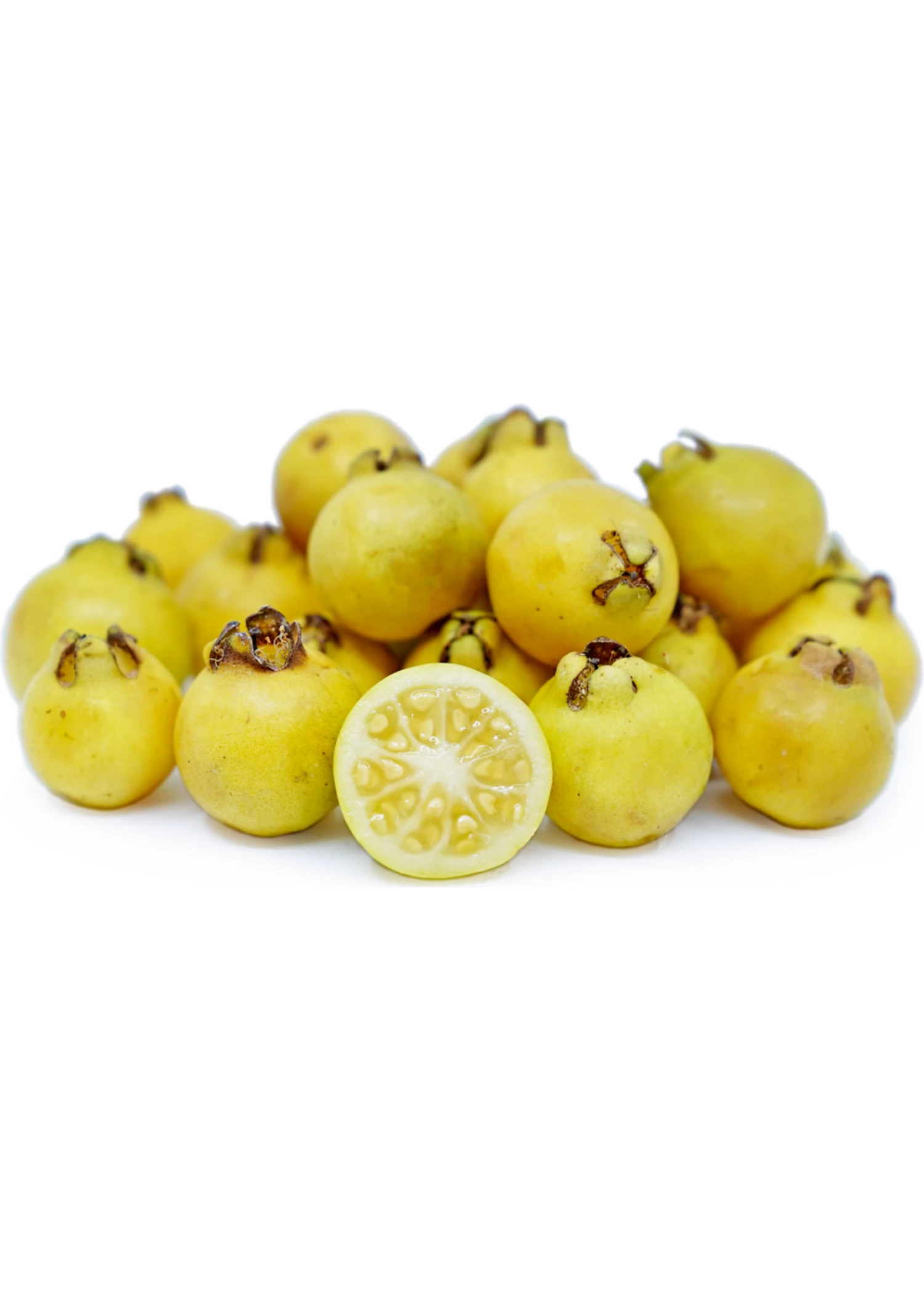 Guava, Lemon (Psidium Littorale) 1 Guava, Lemon (Psidium Littorale)