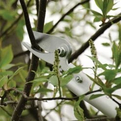 ARS LongReach Pruner 6ft Fixed Length Super Light Razor Edge 9 ARS LongReach Pruner 6ft Fixed Length Super Light Razor Edge -Wilson Bros Gardens Shop lrp6 3 1