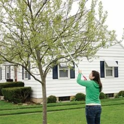 ARS LongReach Pruner 6ft Fixed Length Super Light Razor Edge 13 ARS LongReach Pruner 6ft Fixed Length Super Light Razor Edge -Wilson Bros Gardens Shop lrp6 7