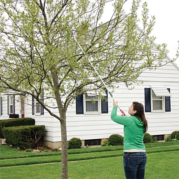 ARS LongReach Pruner 6ft Fixed Length Super Light Razor Edge 7 ARS LongReach Pruner 6ft Fixed Length Super Light Razor Edge - Image 7