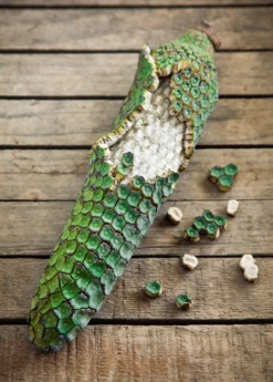 Monstera Deliciosa, Swiss Cheese Plant -Wilson Bros Gardens Shop monsteraplantforsalesowexotic