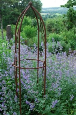 Six Hills Giant Catmint (Nepeta) - 5 Pack Of Quart Pots