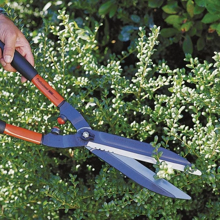 Bahco 9.5-inch Blade Hedge Shears, 23-inch Overall Length 5 Bahco 9.5-inch Blade Hedge Shears, 23-inch Overall Length - Image 5