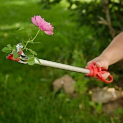 ARS LongReach Rose Pruner Fixed 2ft Cut & Hold -Wilson Bros Gardens Shop rp150 2