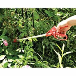 ARS LongReach Rose Pruner Fixed 2ft Cut & Hold -Wilson Bros Gardens Shop rp150 3