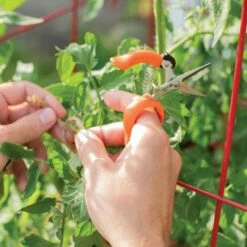 Hands-Free Ring Pruner 9 Hands-Free Ring Pruner -Wilson Bros Gardens Shop rp2 3