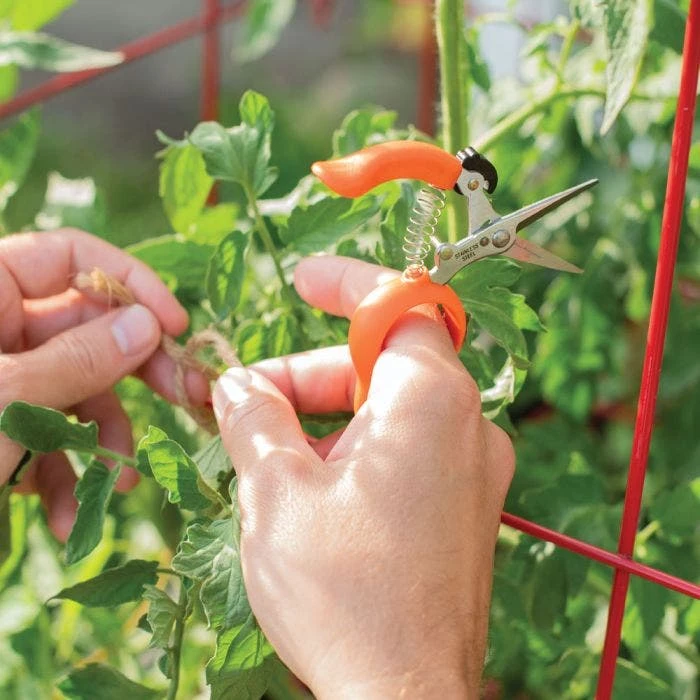 Hands-Free Ring Pruner 3 Hands-Free Ring Pruner - Image 3