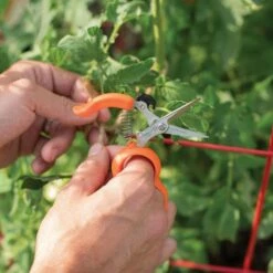 Hands-Free Ring Pruner 11 Hands-Free Ring Pruner -Wilson Bros Gardens Shop rp2 5