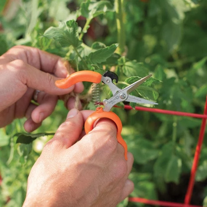 Hands-Free Ring Pruner 5 Hands-Free Ring Pruner - Image 5