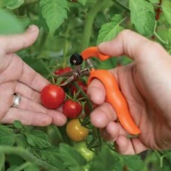 Hands-Free Ring Pruner 12 Hands-Free Ring Pruner -Wilson Bros Gardens Shop rp2 6