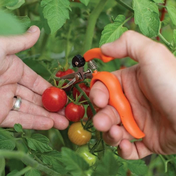 Hands-Free Ring Pruner 6 Hands-Free Ring Pruner - Image 6