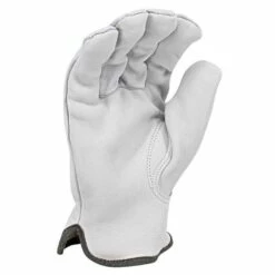 Kamori White Goatskin A5 Cut Resistant Gloves MD 5 Kamori White Goatskin A5 Cut Resistant Gloves MD -Wilson Bros Gardens Shop rwg52mam rwg52lam rwg52xlam palm