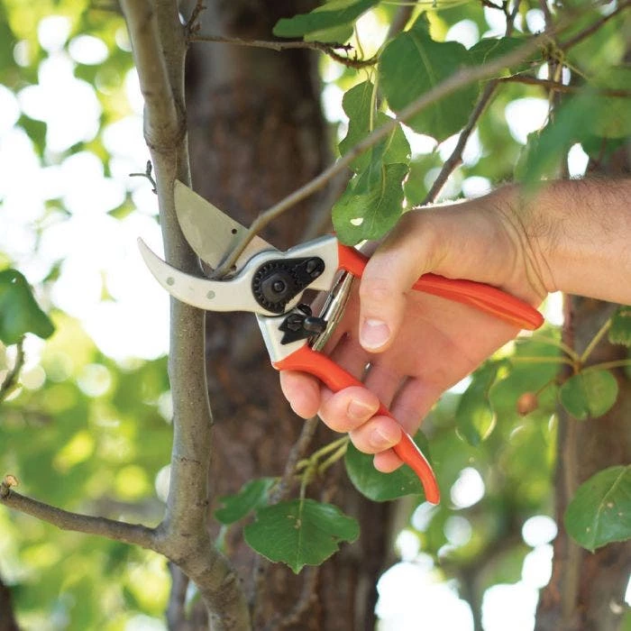Leonard Saw, Pruner And Dual Case Combo Kit 9 Leonard Saw, Pruner And Dual Case Combo Kit - Image 9
