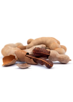 Tamarind (Tamarindus Indica) -Wilson Bros Gardens Shop sweetthaitamarindsowexotic