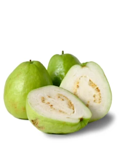 Guava, Thai White (Psidium Guajava)