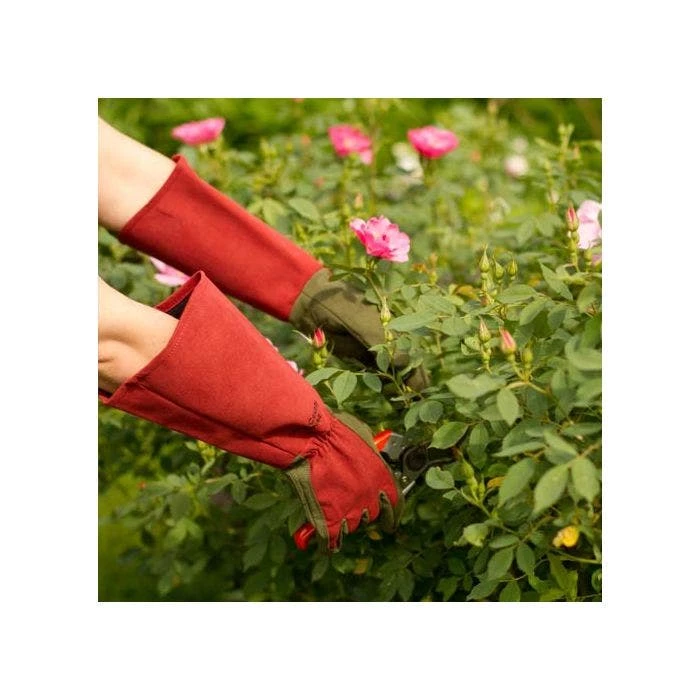 West County Thorn-Proof Unisex Rose Suede Gloves, Ruby Red With Olive Palms 2 West County Thorn-Proof Unisex Rose Suede Gloves, Ruby Red With Olive Palms - Image 2