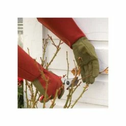 West County Thorn-Proof Unisex Rose Suede Gloves, Ruby Red With Olive Palms 21 West County Thorn-Proof Unisex Rose Suede Gloves, Ruby Red With Olive Palms -Wilson Bros Gardens Shop vp 054 10