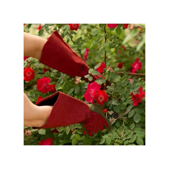 West County Thorn-Proof Unisex Rose Suede Gloves, Ruby Red With Olive Palms 3 West County Thorn-Proof Unisex Rose Suede Gloves, Ruby Red With Olive Palms - Image 3