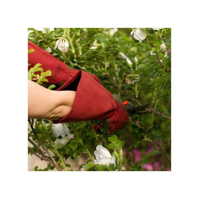 West County Thorn-Proof Unisex Rose Suede Gloves, Ruby Red With Olive Palms 4 West County Thorn-Proof Unisex Rose Suede Gloves, Ruby Red With Olive Palms - Image 4
