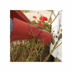 West County Thorn-Proof Unisex Rose Suede Gloves, Ruby Red With Olive Palms 15 West County Thorn-Proof Unisex Rose Suede Gloves, Ruby Red With Olive Palms -Wilson Bros Gardens Shop vp 054 4