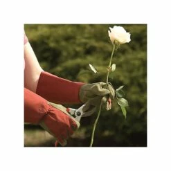 West County Thorn-Proof Unisex Rose Suede Gloves, Ruby Red With Olive Palms 16 West County Thorn-Proof Unisex Rose Suede Gloves, Ruby Red With Olive Palms -Wilson Bros Gardens Shop vp 054 5