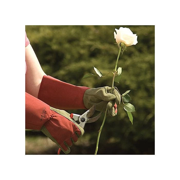 West County Thorn-Proof Unisex Rose Suede Gloves, Ruby Red With Olive Palms 6 West County Thorn-Proof Unisex Rose Suede Gloves, Ruby Red With Olive Palms - Image 6