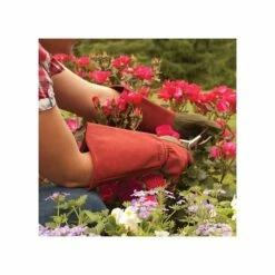 West County Thorn-Proof Unisex Rose Suede Gloves, Ruby Red With Olive Palms 18 West County Thorn-Proof Unisex Rose Suede Gloves, Ruby Red With Olive Palms -Wilson Bros Gardens Shop vp 054 7