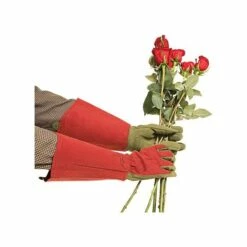 West County Thorn-Proof Unisex Rose Suede Gloves, Ruby Red With Olive Palms 20 West County Thorn-Proof Unisex Rose Suede Gloves, Ruby Red With Olive Palms -Wilson Bros Gardens Shop vp 054 9