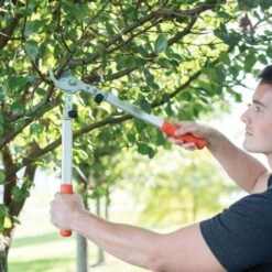 Leonard Professional Lifetime Loppers 1.5in Cutting Capacity -Wilson Bros Gardens Shop vp 392xx 4